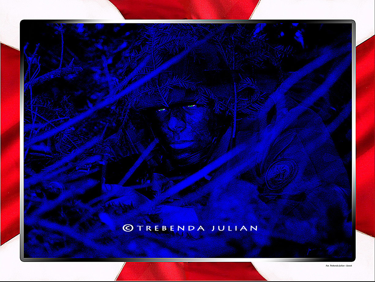 Trebenda_Julian_BSP_13L