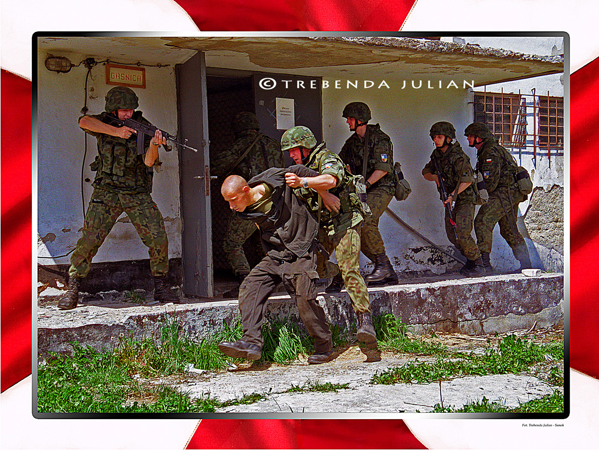 Trebenda_Julian_BSP_17L